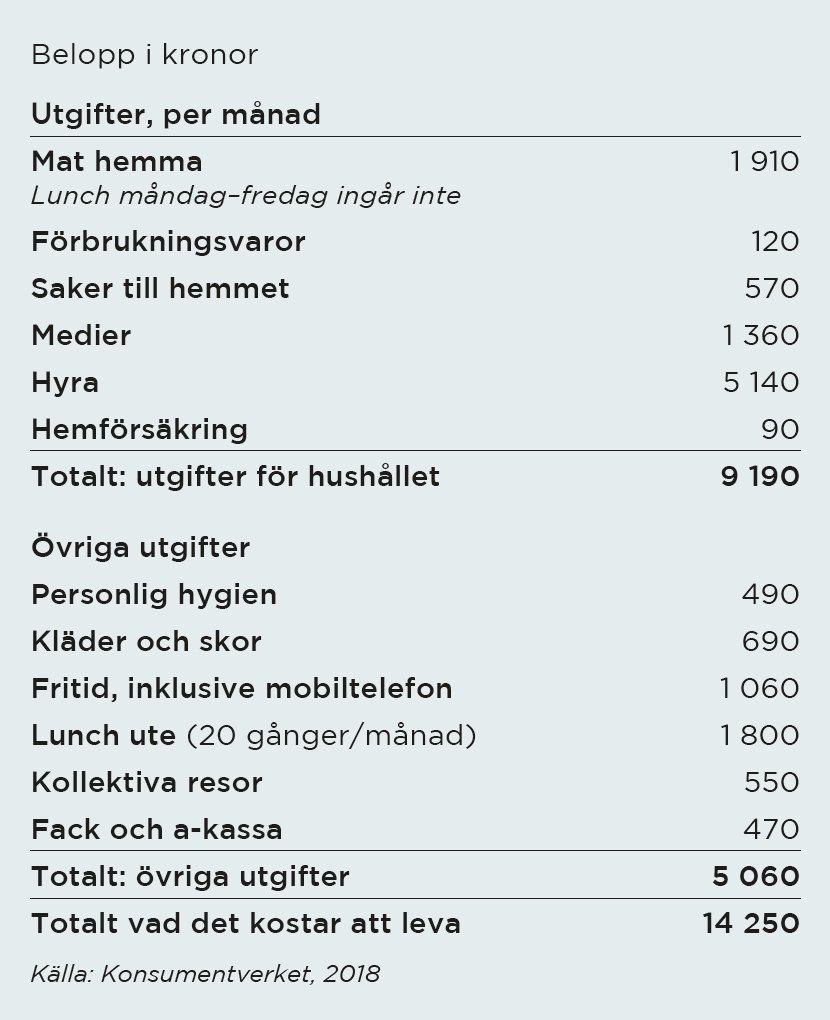 Exempel på hur mycket det kostar att leva